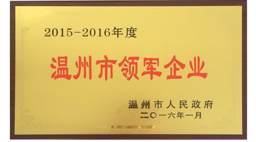 2015-2016年溫州市領軍企業